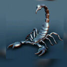 black_scorpio83 Avatar